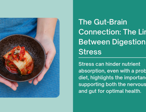 Gut-Brain Connection: Stress and Digestion